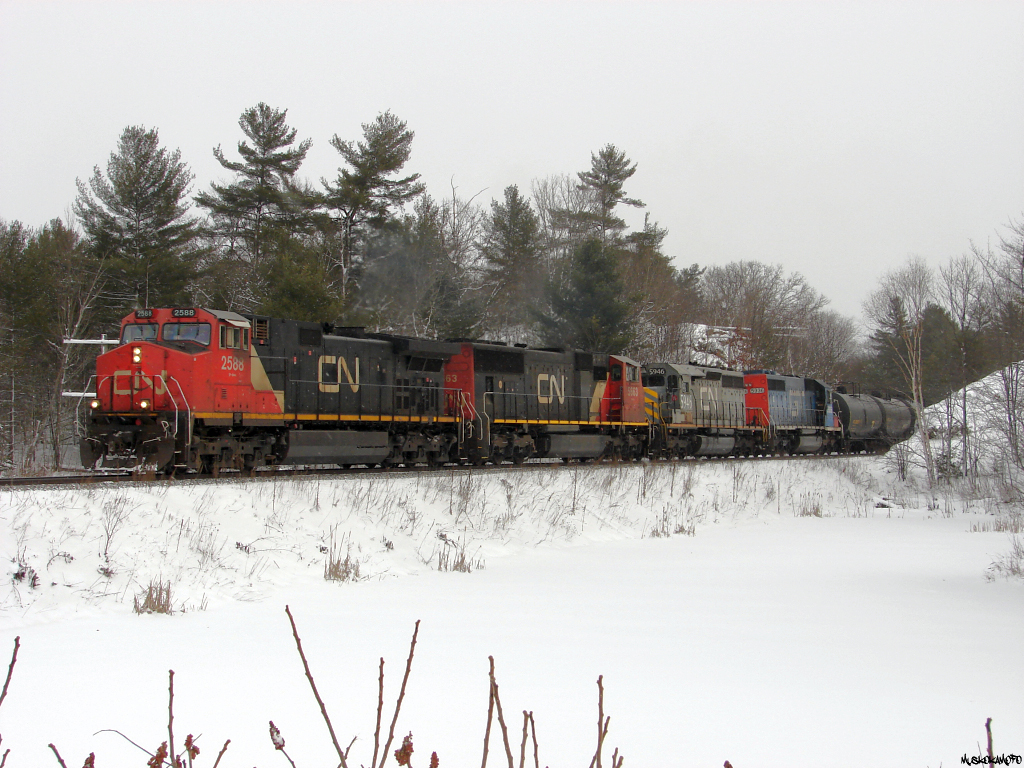 CN M30131 25 - CN 2588 North starting to notch up after pulling out of the siding from a meet with train 114, with a nice consist on the head end!