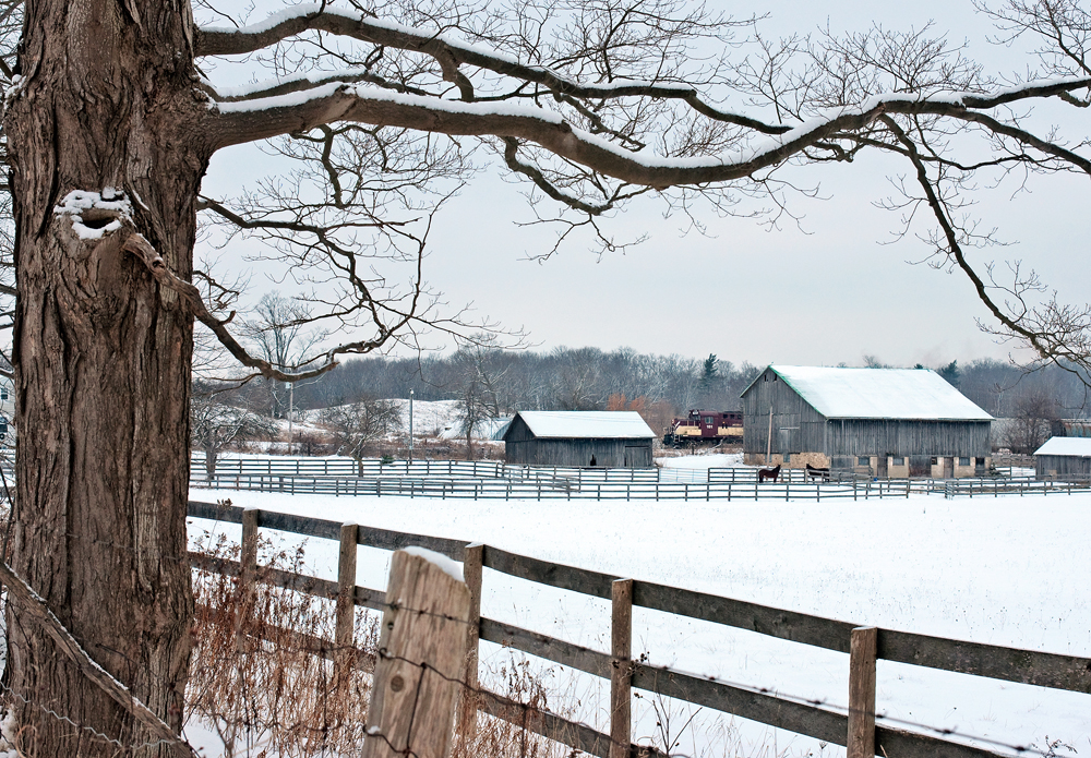 The sound of MLW's caress the morning air as 181's nose pokes out from between the barns with a healthy load of 20 cars for the industrial customers in Guelph.