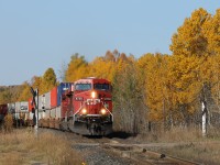 Canadian Pacific train #202 led by  CP 8750 and CP 8832 eastward bound amid the fall colours of northwestern Ontario.