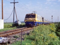 VIA 21 early in the morning approaches the crossing of rd 255 at speed.