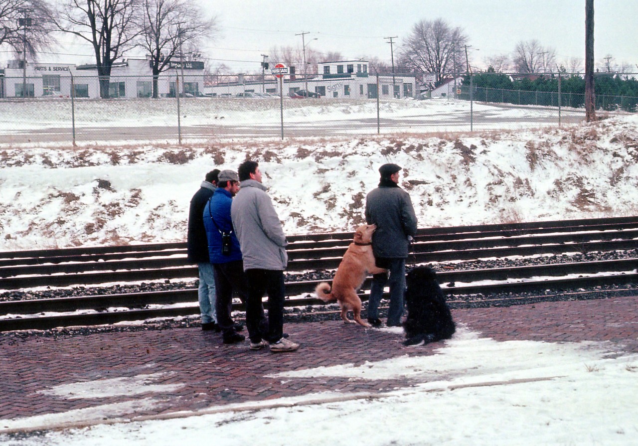 Controlling yourself when you are an overexuberant Foamer can be an exercise in futility. In this scene, the "Gang" anxiously awaits the arrival of the last eastbound VIA Buddcars thru Niagara, victims of the "Mulroney Cuts" of winter 1990.  This turned out to be the last trip, period, as the railroad substituted buses for the return run later in the day.