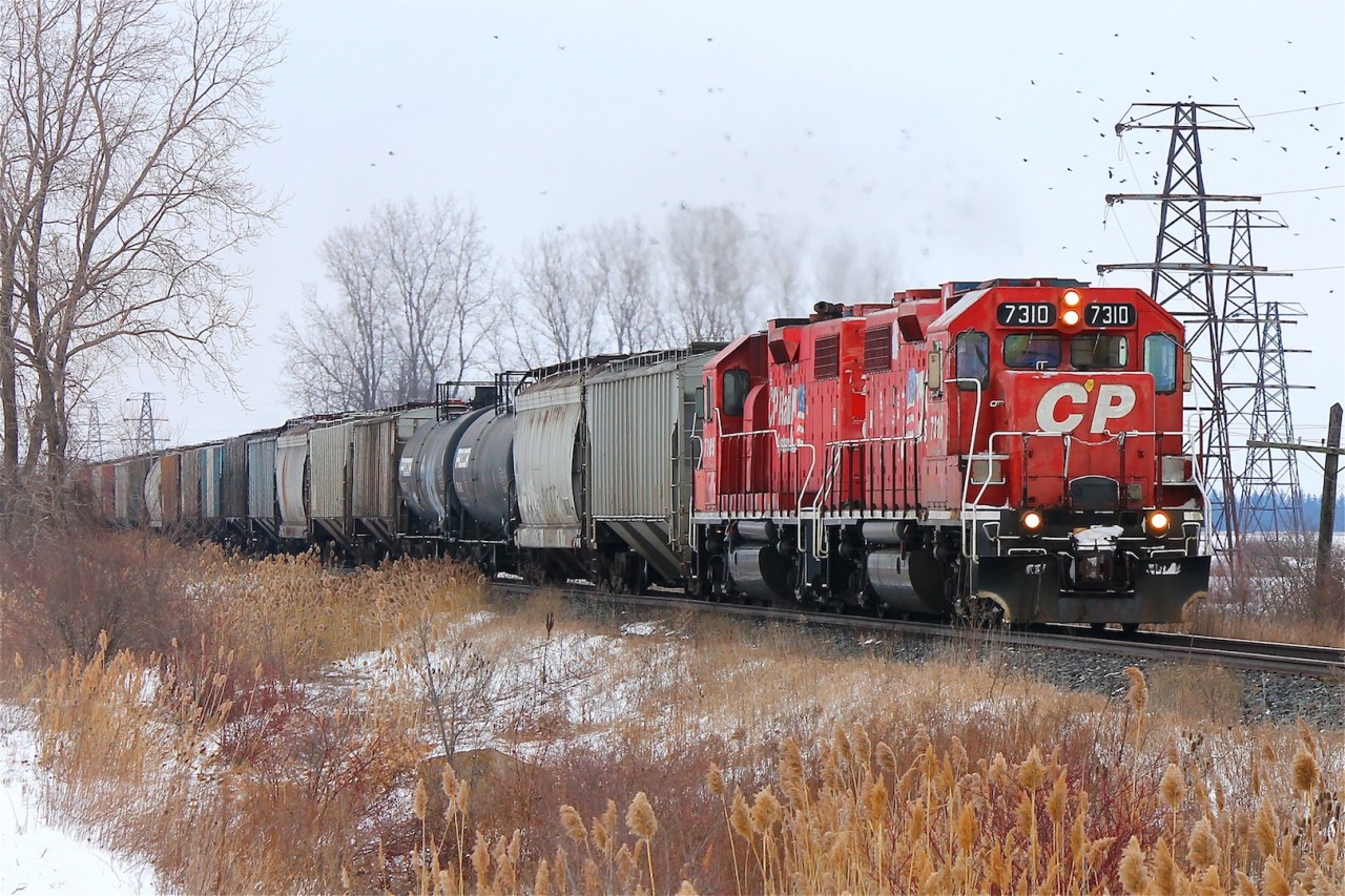 CP T76 the Chatham local heads West back to Windsor with two ex Delaware & Hudson GP38-2's on the lead, though I was expecting one of the Geeps to be an ex Boston and Maine I was still quite satisfied with this pair.
