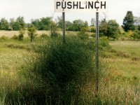 
One could surmise that spelling wasn't mandatory for employment with the CP gang, judging by this unique "Puslinch" sign spotted along the Galt sub some twenty years ago.