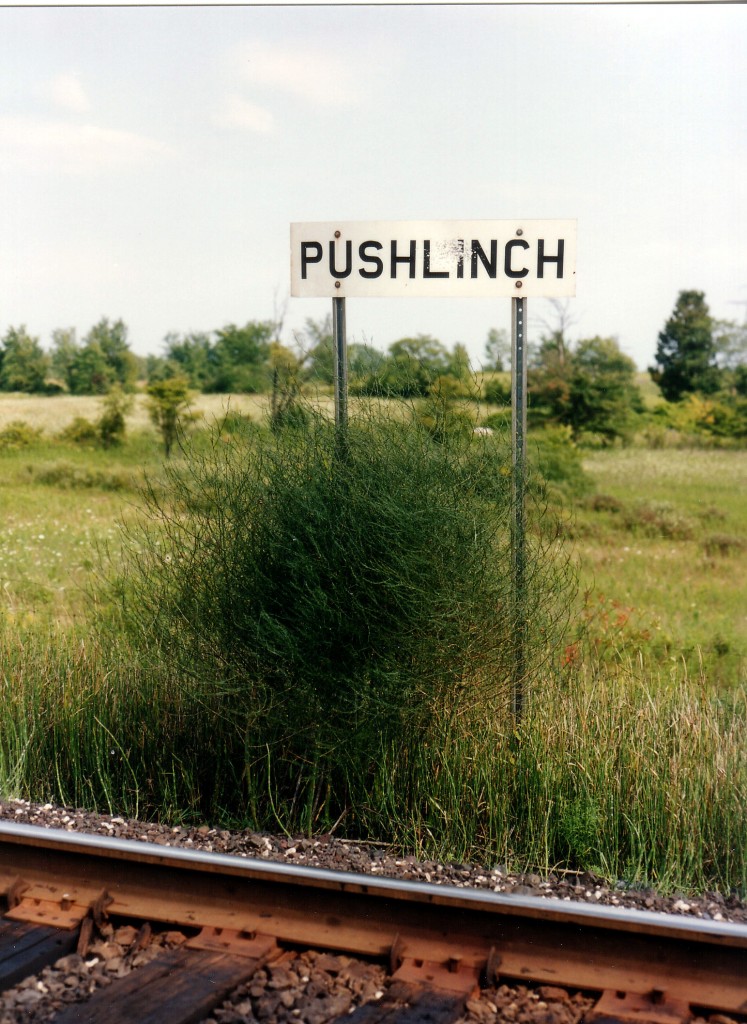 One could surmise that spelling wasn't mandatory for employment with the CP gang, judging by this unique "Puslinch" sign spotted along the Galt sub some twenty years ago.