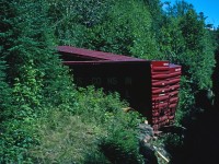 In the Bush!! I am not sure what happened here as this was after I had left the ACR. There are not two cars here, but rather this is the same car cut or broken in half and the halves were lined up side by each.