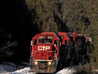 Sunlight streams through a gap in the otherwise heavy tree line, illuminating CP 3114, 3103, and 3134 as they lift T07's 33 cars up Maryanne's Hill. There are at least 29 cars from Unimin on this train, meaning at least 29 loads. Not a big deal on the high iron, however on this line, the combination of grades and a 10mph speed limit means that a little extra is needed to keep them moving forward; no such thing as taking a run at the hill here. 1616hrs.