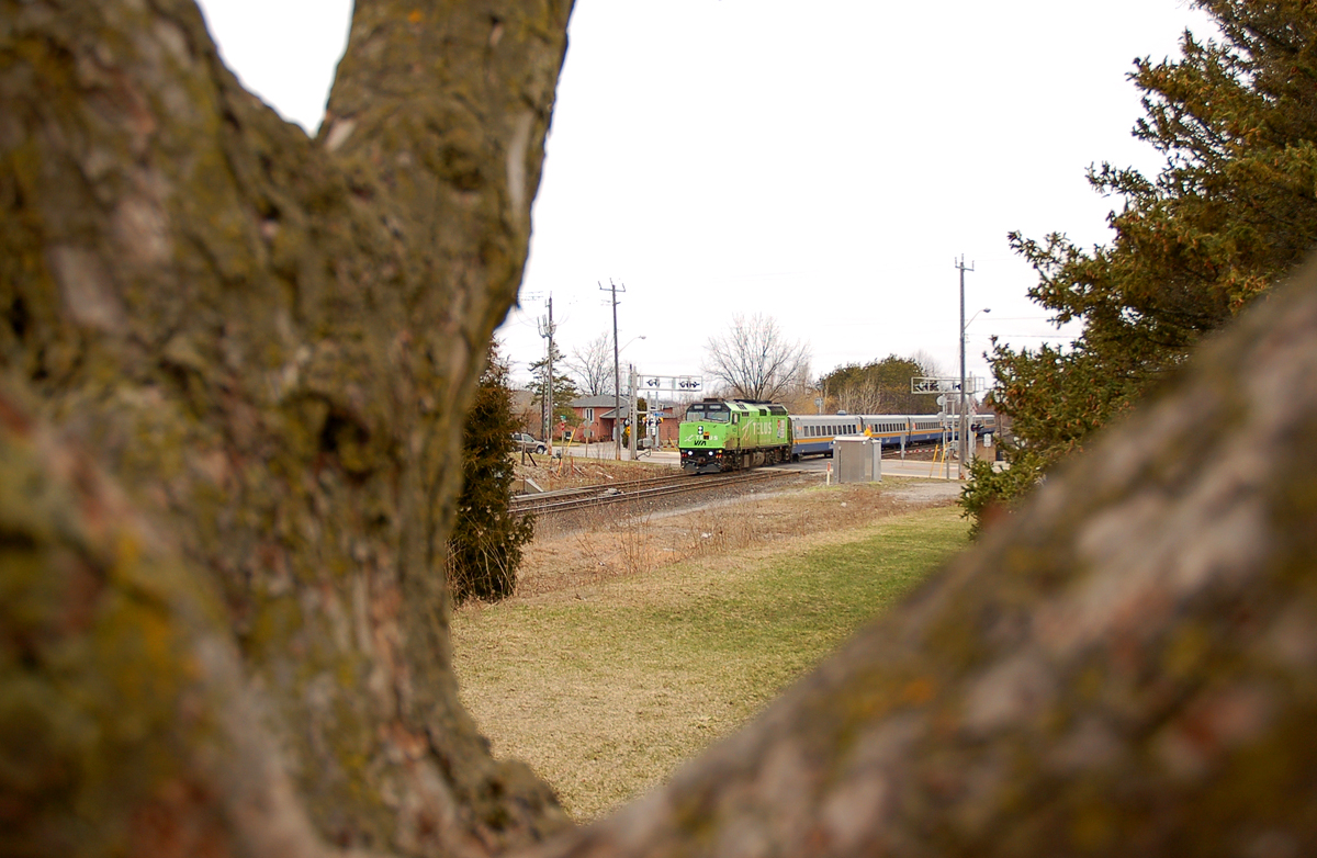 Telus wrapped VIA 6429 streaks across Hardy road with 6 LRC coaches in tow on train #72