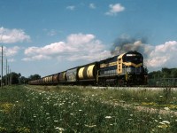 Alco action in Port Colborne on a hot July afternoon in Southern Ontario. Port Colborne Harbour Railway 6101 provides a little trademark Alco exhaust with a large cut of hoppers.