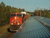 ON THE WESTBOUND CANADIAN, MEETING A FREIGHT LED BY CN C44-9W #2625, FOLEYET, ON. For more pics from my collection see northamericabyrail.info 