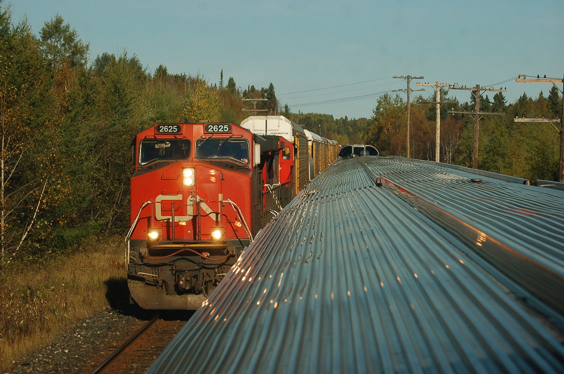 ON THE WESTBOUND CANADIAN, MEETING A FREIGHT LED BY CN C44-9W #2625, FOLEYET, ON. For more pics from my collection see northamericabyrail.info