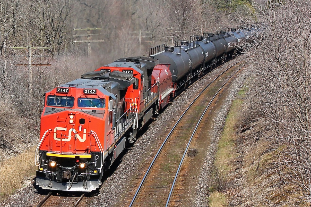 CN 331 makes an appearance around the bend as seen from the Denfeild Rd bridge. The loco's gave us lots of warning as they roared from behind the tree-line up to track speed.