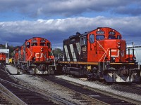 A pair of Geeps sitting at Stuart Street. 