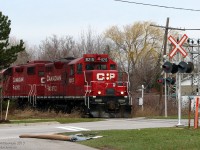 <b><i>Red Interlopers!</i></b><br><br>Heading south on the OBRY's Owen Sound Spur, the CP Streetsville Turn with 8215 & 3105 crosses Alpha Mills Road on the way back to Streetsville Junction as light power. After having switched a customer up the line (likely Kaotin Natie north of Highway 401), the pair of Geeps are heading back to the Galt Sub mainline to begin switching PDI's transloading facility inside the old wye area.<br><br>Today's rare catch began with driving over the crossing at Mississauga Road on the way home, and catching a glimpse of a headlight in the distance. Assuming it was the OBRY, a quick detour to Alpha Mills revealed the photographer was mistaken, but yielded a far greater prize. While shortline owner Orangeville Brampton Railway handles operations and switching on most of the line, CP retains service on the portion south of Mile 2.4, of which there are one or two customers remaining that get CP-switched every so often.<br><br>And the carpet? Your guess is as good as mine...