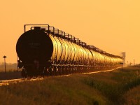 Crude oil empties head west at sunset.