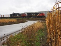 CN 2104 leads 373 near Hagerman's Corners in Unionville Ontario.