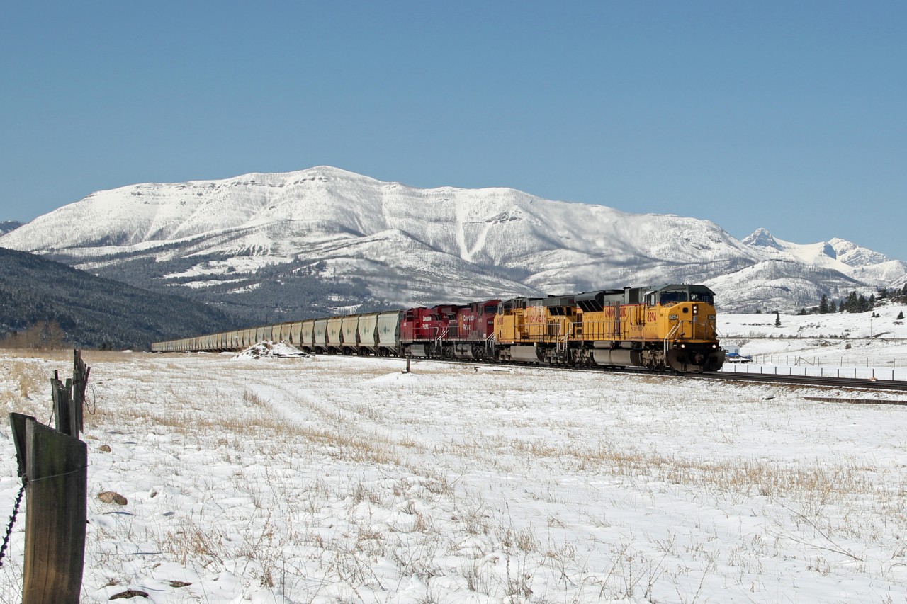 UP SD9043MAC 8294 and  AC4400CW 6905 along with CP AC4400CW 8640 and ES44AC 8859 lead Potash empties through Burmis.