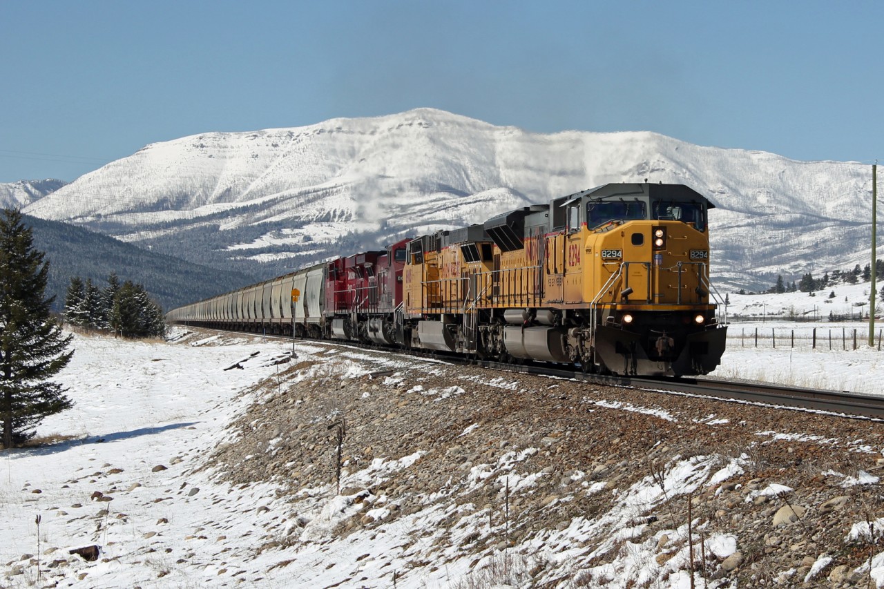 UP 8294 approaches Highway 507 as it departs from Burmis.