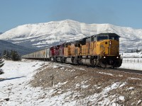 UP 8294 approaches Highway 507 as it departs from Burmis.