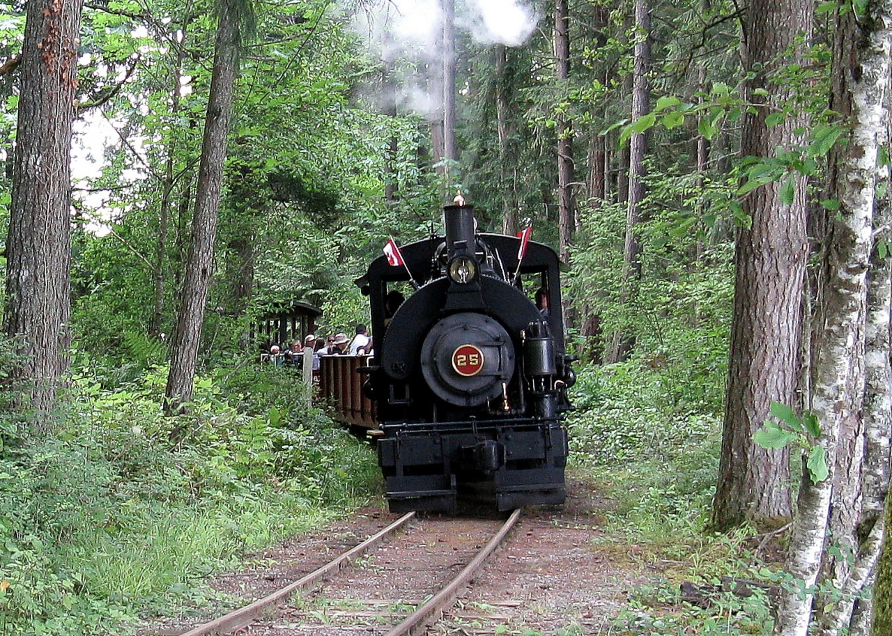 36" gauge Vulcan 0-4-0ST #25 takes it's tourist train through the forest at the Forest Discovery Centre, Duncan, BC