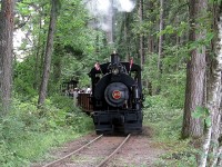 36" gauge Vulcan 0-4-0ST #25 takes it's tourist train through the forest at the Forest Discovery Centre, Duncan, BC