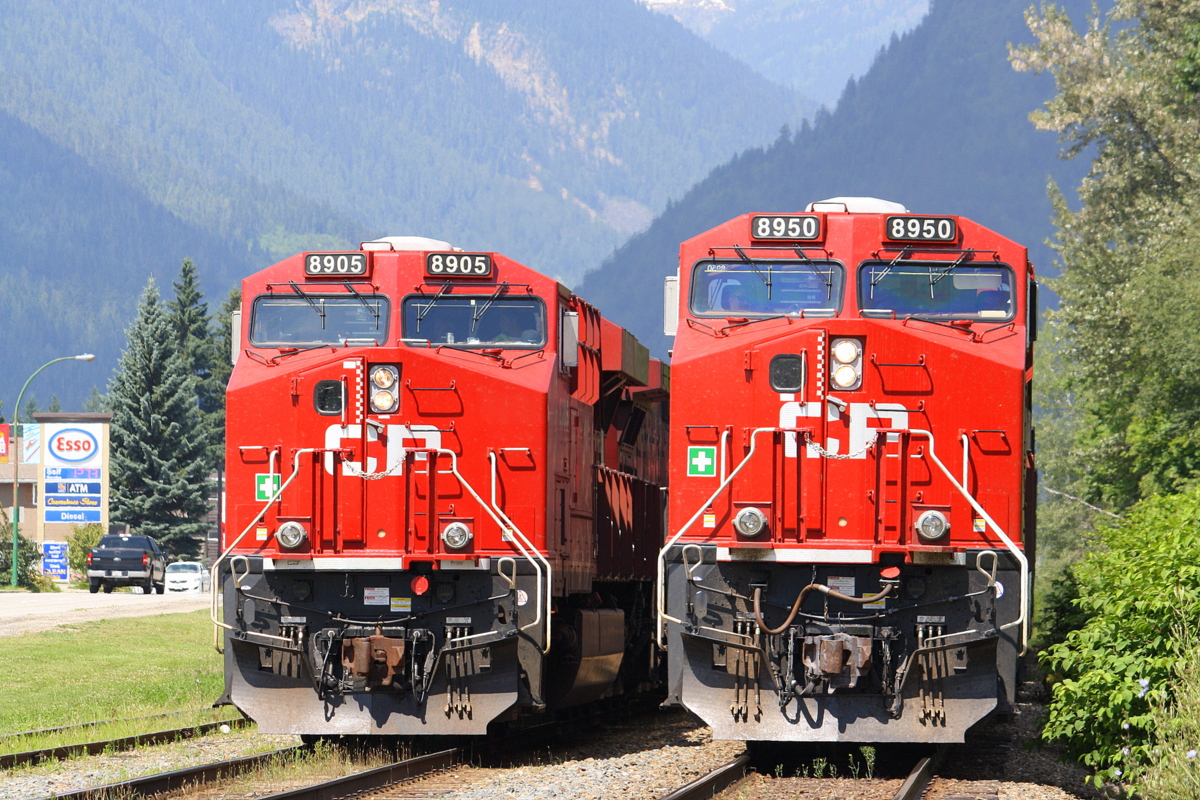 Fresh pair of Gevos sit together in Revelstoke,B.C