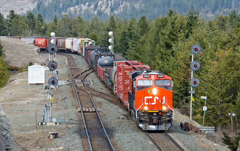 Escaping from coal duties (likely briefly), new CN ES44AC 2800 leads the Edson-Jasper wayfrieght through English on the south track of the Edson Sub.