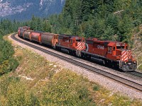 SD40-2's CP 5692  and 5669 ease a grain train down the "Big Hill" towards Field.