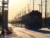 After a big early morning derailment just east of the Credit River closed the entire line at 2am, GO service on the Georgetown line was severely crippled all day. Morning trains were cancelled, GO bus service was a mess due to 15 centemetres of snowfall, and evening train service was reduced (2 instead of 4 trains) and only ran as far as Mount Pleasant Station, with passengers going further west having to hop GO shuttle buses to their destinations. CN maintenance crews were all over the derailment site, and Hulcher crews with side-boom tractors and excavators were busy cleaning up the mess and cutting up CN #394's damaged cars at the Credit. The biggest impact however was that the otherwise busy CN Halton Sub was quiet for most of the day, as no freight or passenger traffic could pass. Evidence of this litters the champaign-lit ground this evening: it's 5:30pm, and the powdery snow being kicked up hasn't been touched by any other train since the derailment 15 hours ago.<br><br>After dropping off its load of evening commuters at Mount Pleasant just east of the derailment site, GO #205 highballs eastbound back to Toronto. F59PH class-unit 520 leads 10 empty commuter cars through downtown Brampton, slamming over the diamond at Mile 15.5 on the north track. Not being able to get to and tie down at Georgetown overnight, any GO's had to deadhead back to Toronto and return deadhead in the morning when the track was finally cleared.