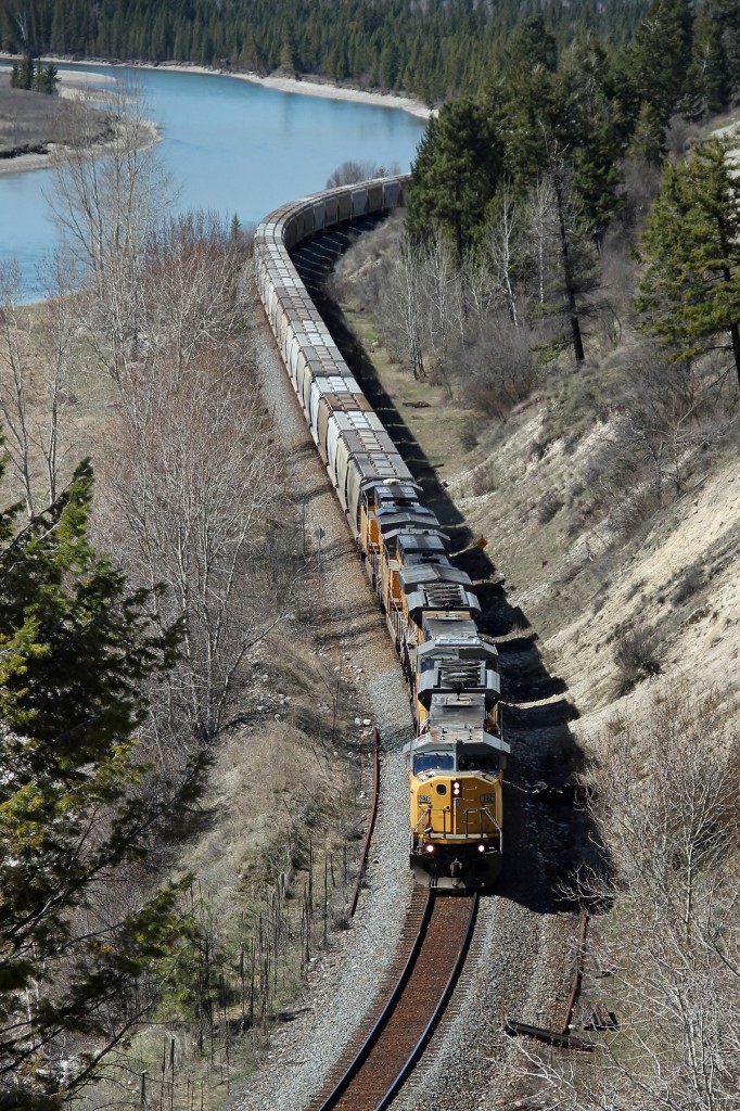 UP 8276, 8307, 7065, and 5521 lead an empty potash train eastbound on the Cranbrook Sub.