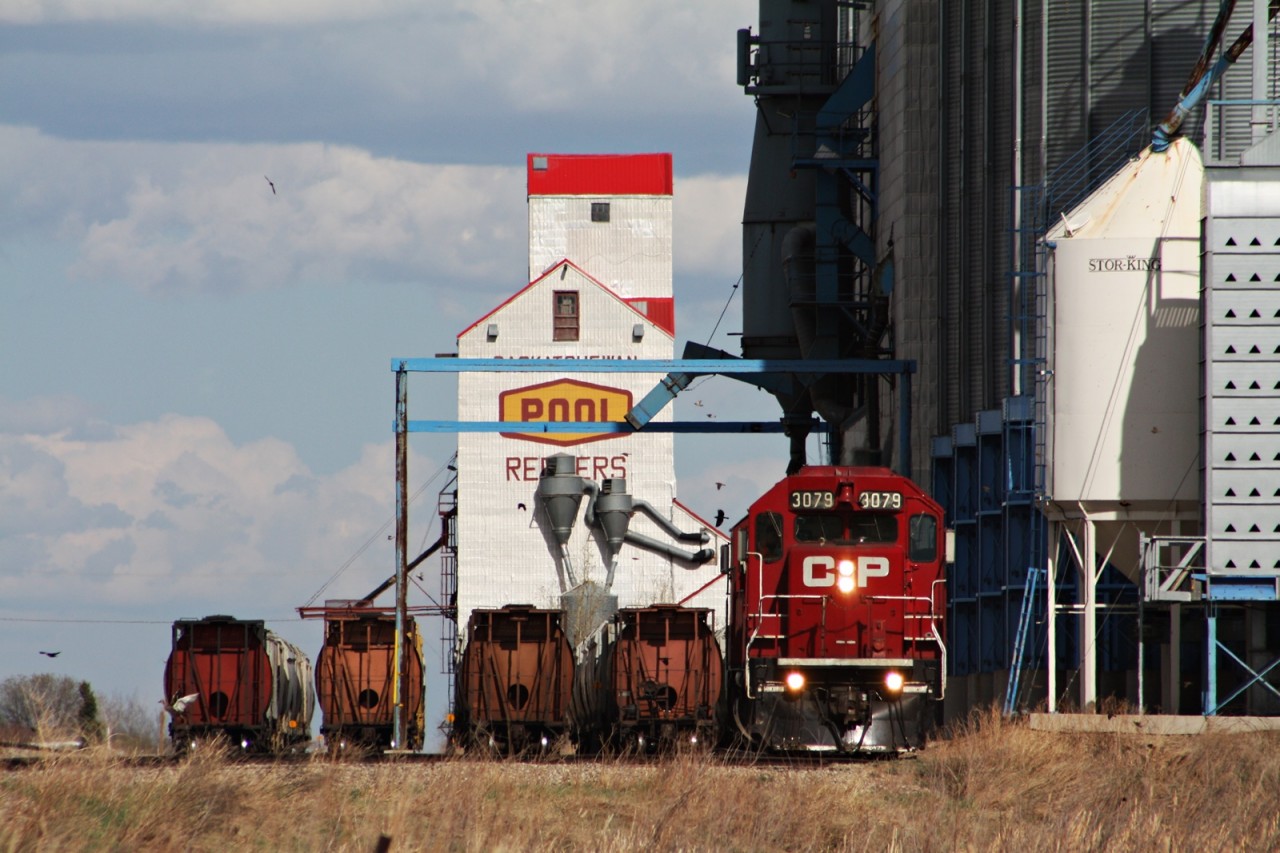 CP 3079 and CP 3070 drop off 56 empties for Redvers Viterra.