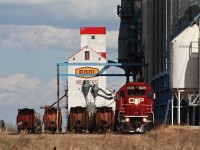 CP 3079 and CP 3070 drop off 56 empties for Redvers Viterra.
