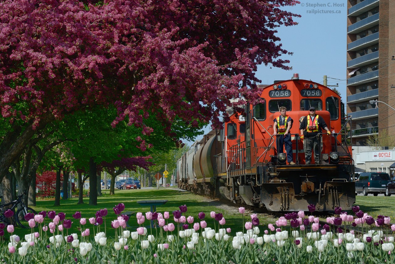 Spring is here and the blossoms and tulips of Sarnia's Confederation Park form an interesting contrast to the railway line which runs through it. An extra IOX job is seen returning from the Cargill Elevator at the end of the Point Edward Spur in Sarnia, and with the train running through the popular Sarnia waterfront area, the crew rides the point for safety.