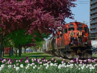 <b>Spring is here</b> and the blossoms and tulips of Sarnia's Centennial Park form an interesting contrast to the railway line which runs through it. An extra IOX job is seen returning from the Cargill Elevator at the end of the Point Edward Spur in Sarnia, and with the train running through the popular Sarnia waterfront area, the crew rides the point for safety.