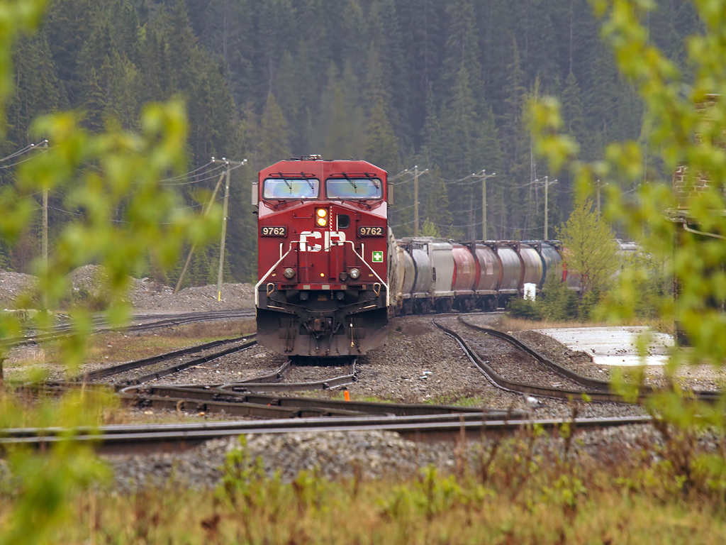 Grain empties wait to go east on a foggy morning.