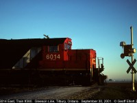 CN 6014 leads train #380 past one of the last standing 'wig-wags' in Canada on September 30, 2001.  Behind 6014 is the last rail-train to come off the Leamington Branch as CN had finished tearing up the line in the days previous.