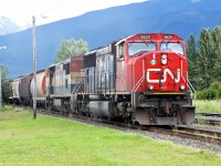 SD75I CN 5629 and DASH8-40CMu BCOL 4612 (Upgraded to 4400 hp and DASH9 specs) bring a grain train into McBride  (This picture taken by my son Jason)