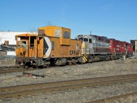 Lots of power for this caboose hop.  CP Caboose 434415 is led into town by 3 GP38-2's,  3084 in tuscan and grey heritage paint scheme and 3069 and 3082.