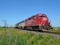 CP T29 heads eastbound around the bend in Tilbury after passing 243 that was waiting in the siding.