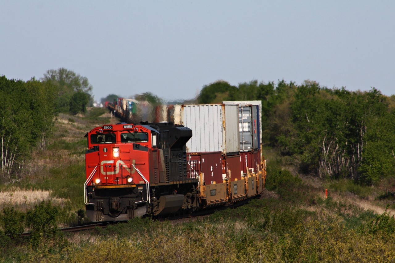 CN 113 with 8955 leading rounds the curve at Rivers Manitoba.