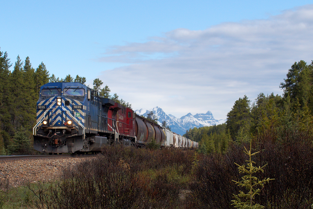 Grain empties in the morning.