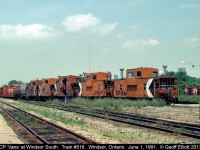 Bringing up the rear on today's CP Train #516 are 5 CP Angus cabooses being moved for use elsewhere on the system.  Trains just don't seem right not having a waycar on them.