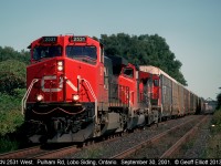 With Frank's Lane and Denfield Road, both Railfan 'hot spots', back in the distance we have CN 2531 West highballing at Pulham Road just east of Komoka, Ontario.