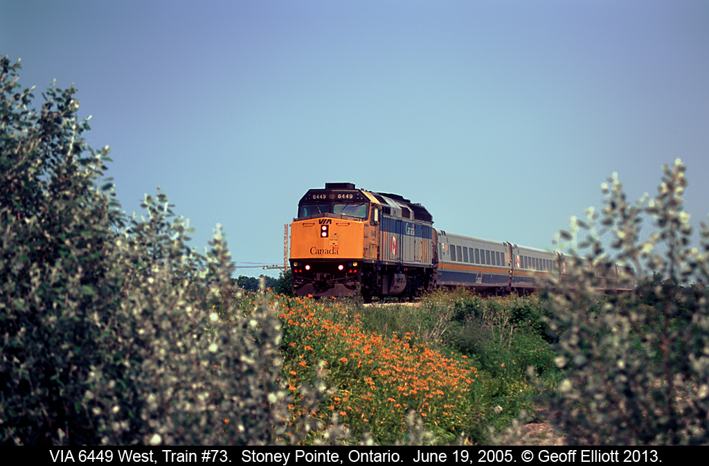 VIA 6449 speeds train #73 past a patch of lilies while running toward Windsor in June of 2005.  There is so much overgrowth around the railroads these days that it makes it hard to shoot, but sometimes you can, as in this case, work with it and make a decent shot of it.