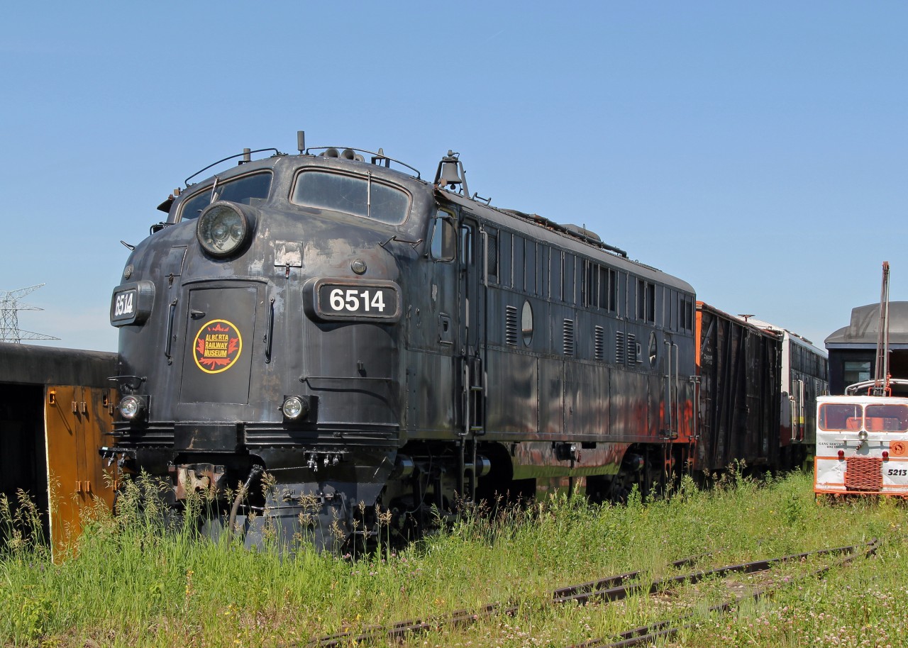 Ex VIA, ex CN FP9 CN 6514 sits amongst the weeds at the Alberta Railway Museum.  Maybe one day will be returned to operating condition.