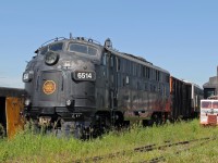 Ex VIA, ex CN FP9 CN 6514 sits amongst the weeds at the Alberta Railway Museum.  Maybe one day will be returned to operating condition.