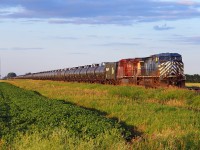 CEFX 1042 pulls down to the signals at High Bluff for a meet with two intermodals.