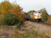 Rolling south through the beautiful fall foliage near Tottenham, a CP business car special comes into view down the line, its pair of F-units in the classic maroon & grey scheme heading 10 vintage heavyweight passenger cars hauling important shippers on a tour of the railway.
