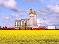 CP 8817 leads 101 past the elevator at Tucker.