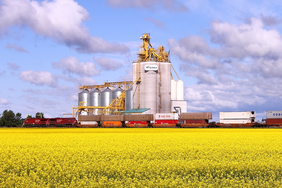 CP 8817 leads 101 past the elevator at Tucker.