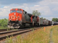 CN 435 cruises by Powerline Road with CN 2605 and CN 2198 in charge of a long train.
